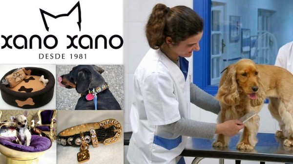 Peluqueria - Boutique XANO XANO Avenida España,  33 07800   Ibiza (Eivissa) Telf.  (+34)  971 306 322   ALIMENTOS CON PRODUCTOS EXCLUSIVOS Y NATURALES Y TODO TIPO DE ANIMALES, PERROS, GATOS, PÁJAROS, 