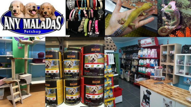 ANY-MALADAS  Petshop    Avenida España,  50  (Frente Consell) 07800  Ibiza (Eivissa)                    ﻿ Telf.  (+34)  971 30 77 88   Anymaladas, tu tienda de mascotas en Ibiza, donde encontrarás tod